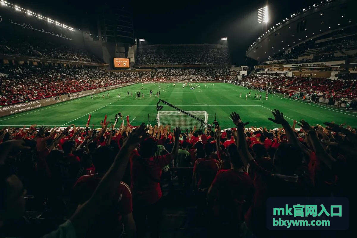 mk官网入口热播片单剧情长片封面